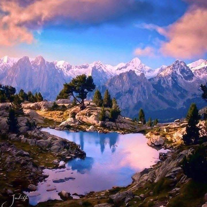 CarlNZ (@karlbnz) on Twitter photo 