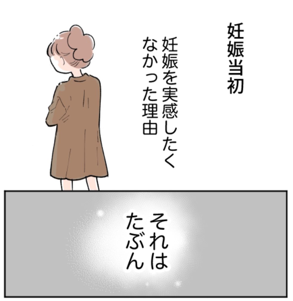 妊娠当初「妊娠」を実感したくなかった理由(2/4) 