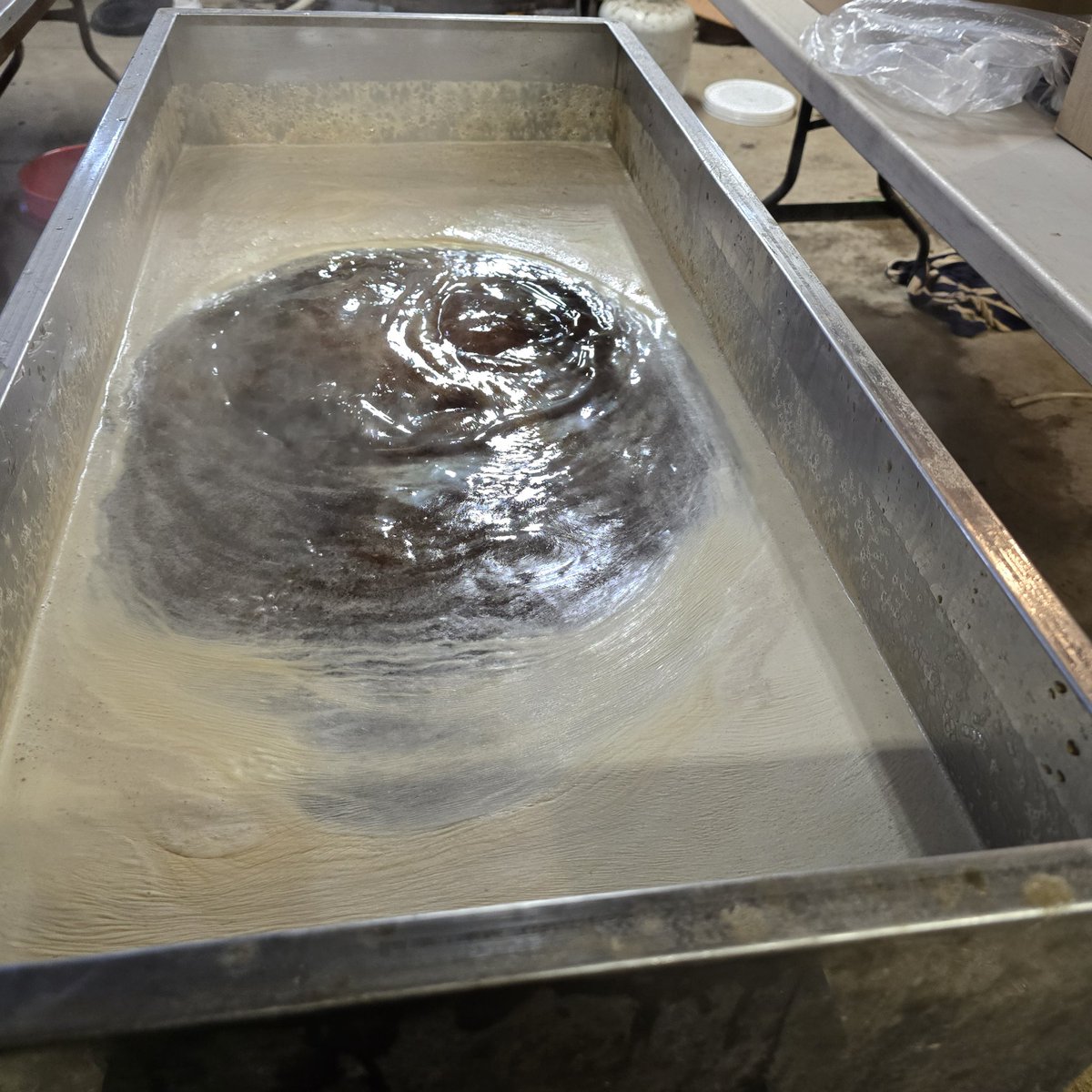 Filtering and bottling a batch of dark syrup tonight. For me, it's the best batch I have ever made. Big maple flavor and reminds me of running through the woods as a kid to neighbors sugar shack. He always made nice dark syrup. Most of mine is delicious and amber. Great stuff.