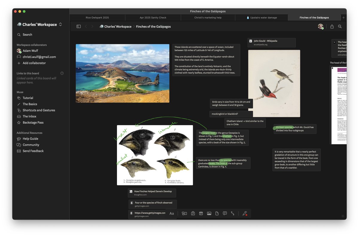 Muse dark mode is oh-so-close to release! And looking so cozy and comfortable 😎🌒
