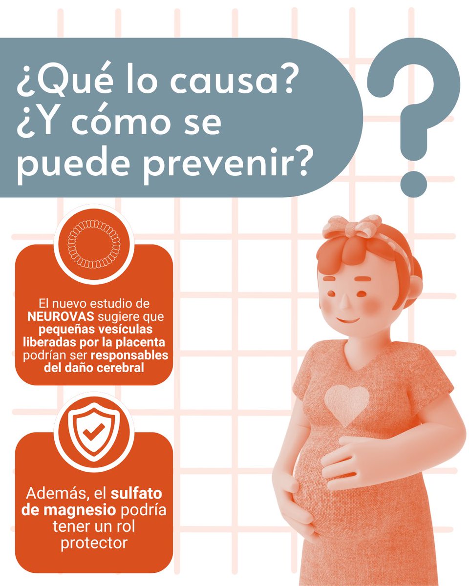 Nuevo estudio de NEUROVAS explora cómo la preeclampsia puede dañar el cerebro 🧠 Descubre más aquí 👇🏻