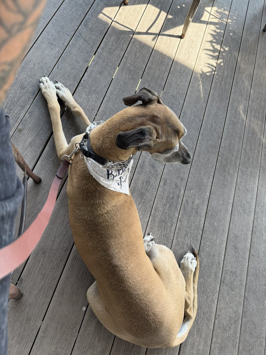 Baby turns 8 today🥹