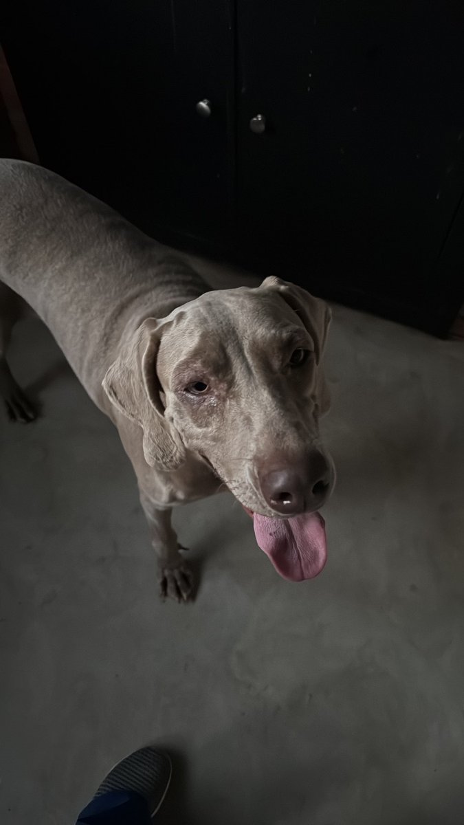 fernanda (@ruizfernanda) on Twitter photo 