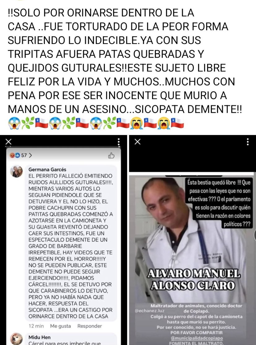 manecita06's tweet photo. Y el colegio de médicos @colmedchile porque estén en silencio? Ningún comunicado ? No sean cómplices de este señor! #AlvaroAlonso debe estar preso! Desvinculado ahora de la @PDI_CHILE y que nunca más vuelva a ejercer!!  RT https://t.co/be9V9TMeSq