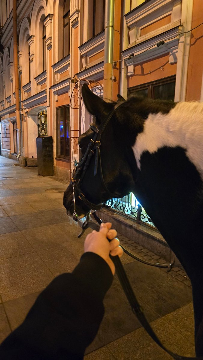 В общем я нахуярился и меня попросили посторожить коня