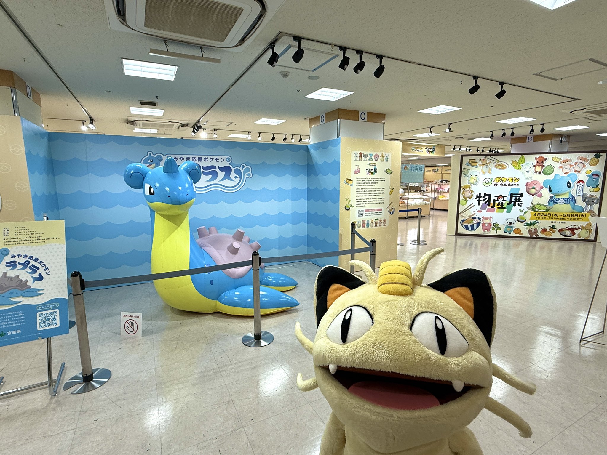 ラティオス (@PokeFansTaiwan) / X