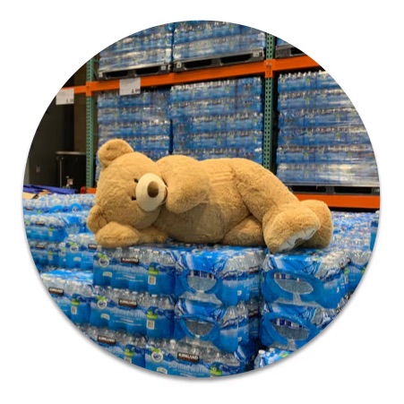 Lbabinz 🇨🇦 tweet media