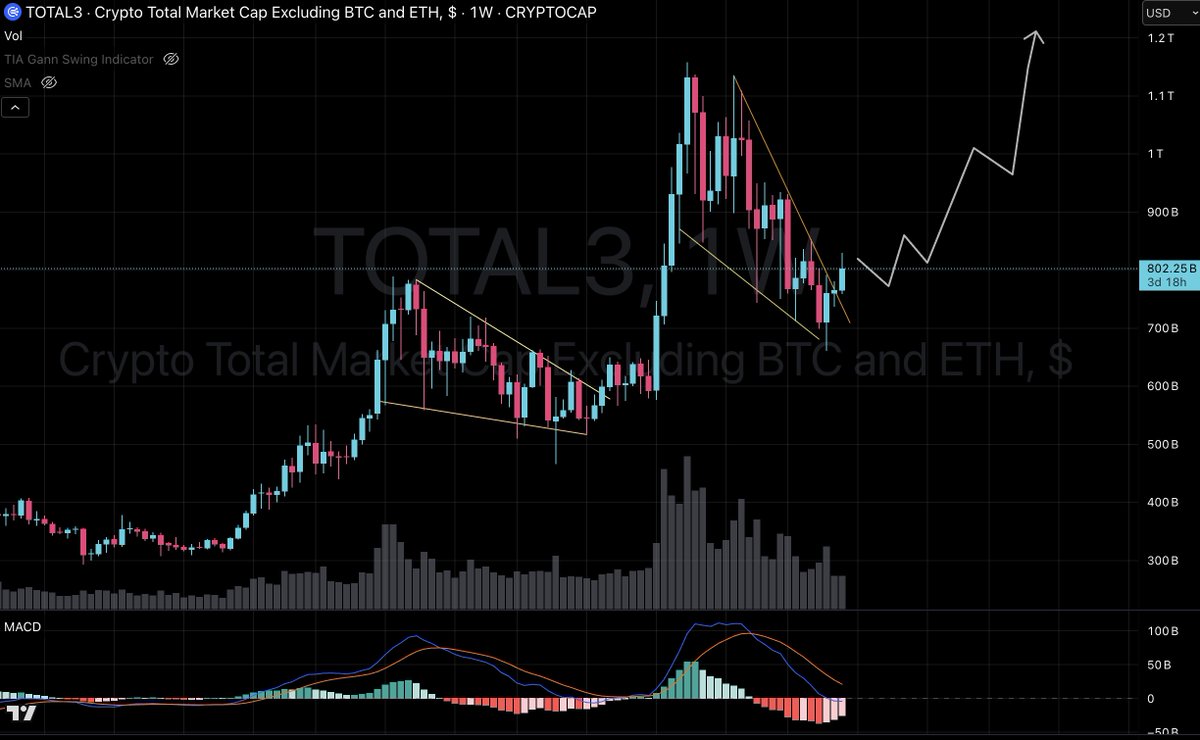 ash 🏴‍☠️ tweet media