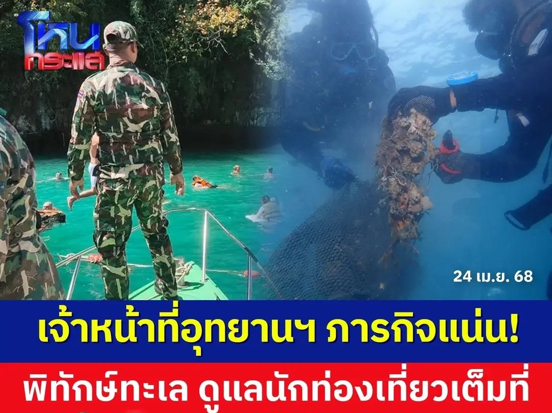 Tarot to youuuu tweet media