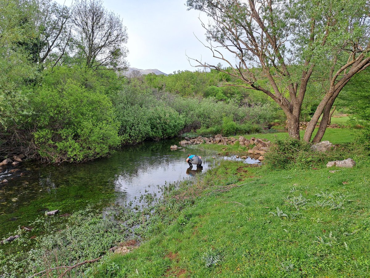 DinDRY Croatian Science Fundation project tweet media
