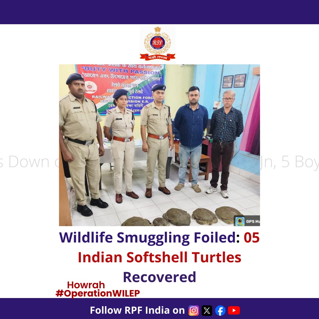 RPF_INDIA's tweet image. #RPF intercepted Wildlife Smuggling!
5 Indian Softshell Turtles found in unclaimed bags on #ChambalExpress at #Howrah. Swiftly seized and handed over to the Divisional Forest Officer for further action.
#OperationSatark #WildlifeProtection
 @rpferhwh @RailMinIndia