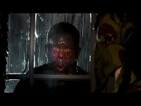 Aliathewhite's tweet photo. The scariest part of 28 Days Later was not knowing if the black guy was infected or not. https://t.co/vBRT87PS4n