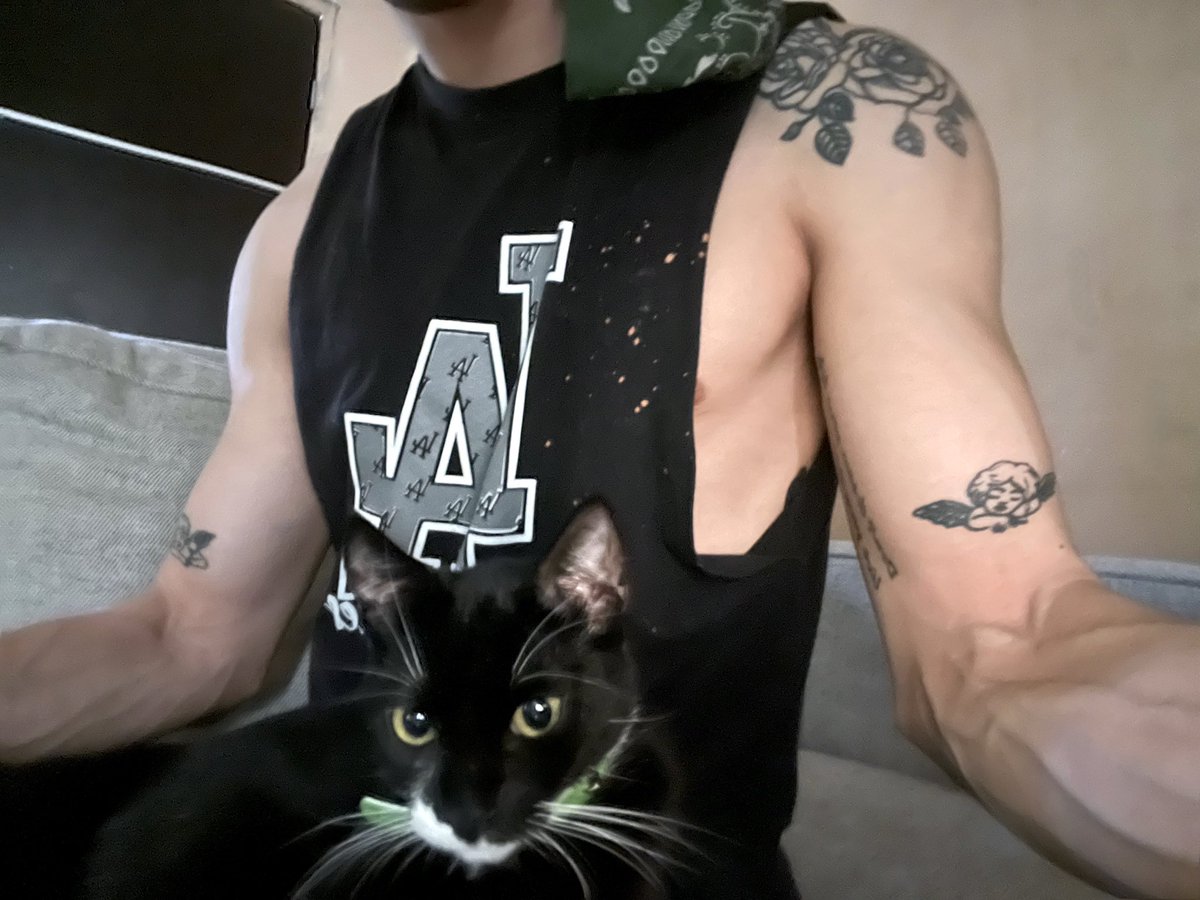 JuniorGalind01's tweet photo. 🐱 https://t.co/JGqxEwcogo