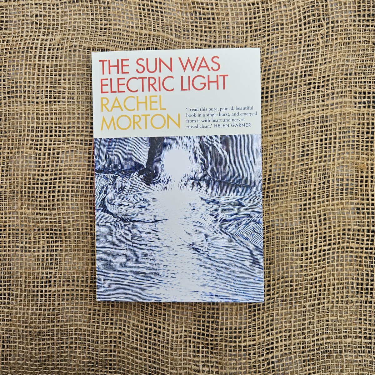 Collins Booksellers Orange tweet media