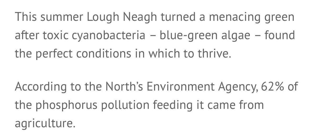 TheGemsofX's tweet photo. @AMAZlNGNATURE Here is the reason behind Ireland's largest algae lake 👇 https://t.co/xGHorwDsS5