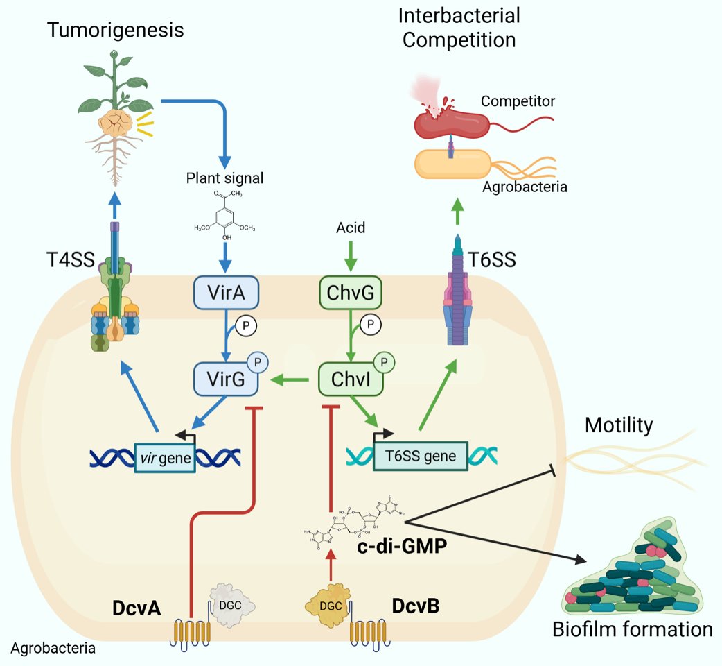 IPMB Academia Sinica (中研院植微所) tweet media