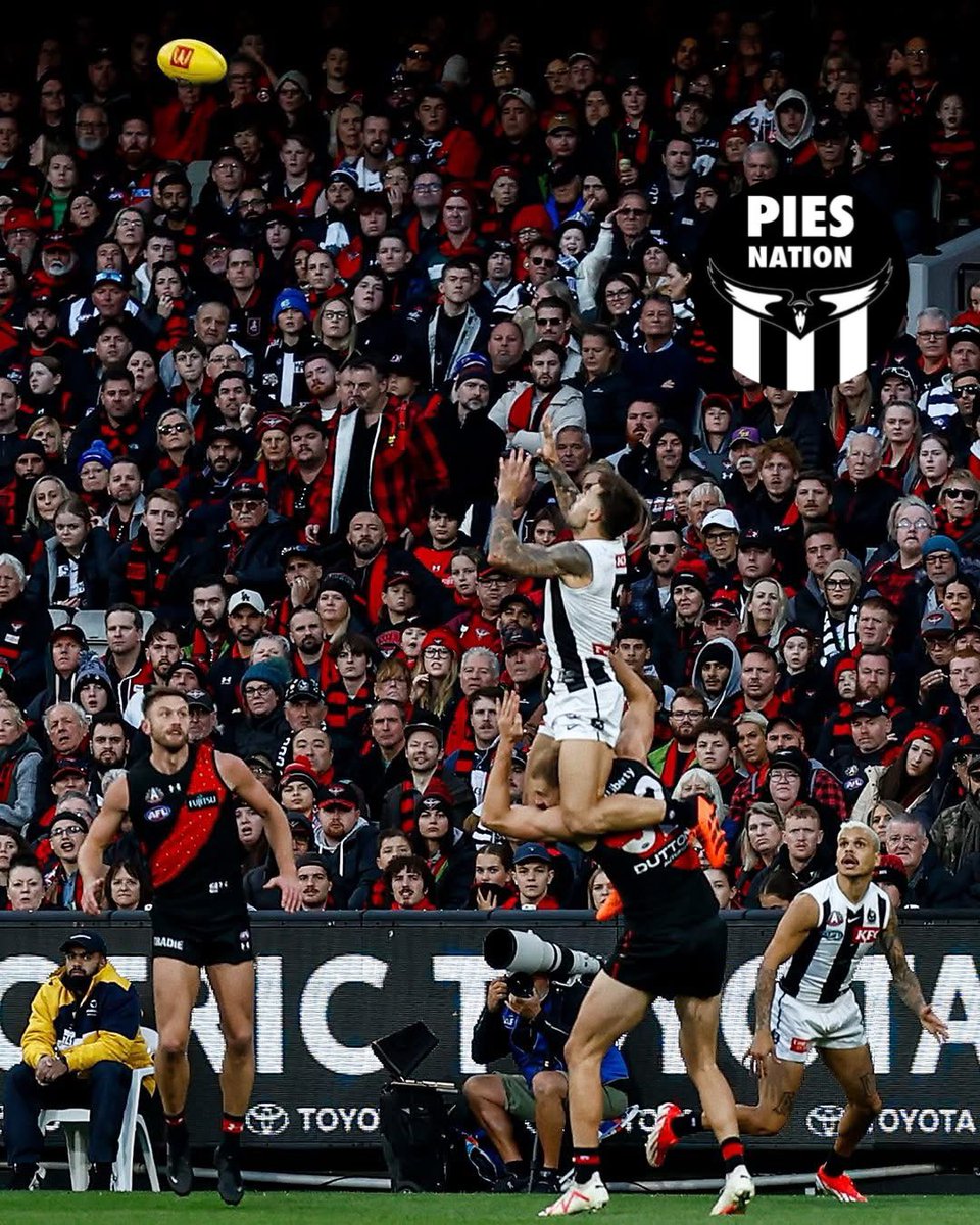 PiesNation tweet media