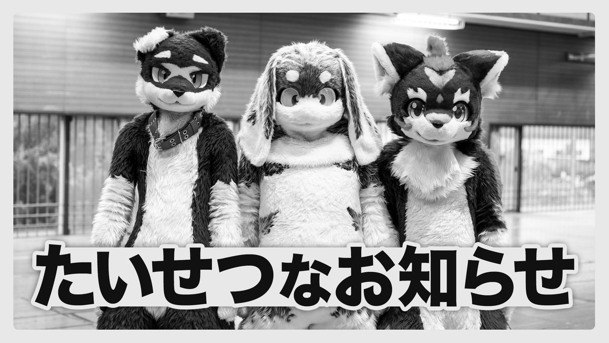 🆕PRIMEからたいせつなお知らせ
🕗4/24 (木) 20:00〜 ※ﾌﾟﾚﾐｱ公開
📺youtu.be/YhA-UjmU8nc