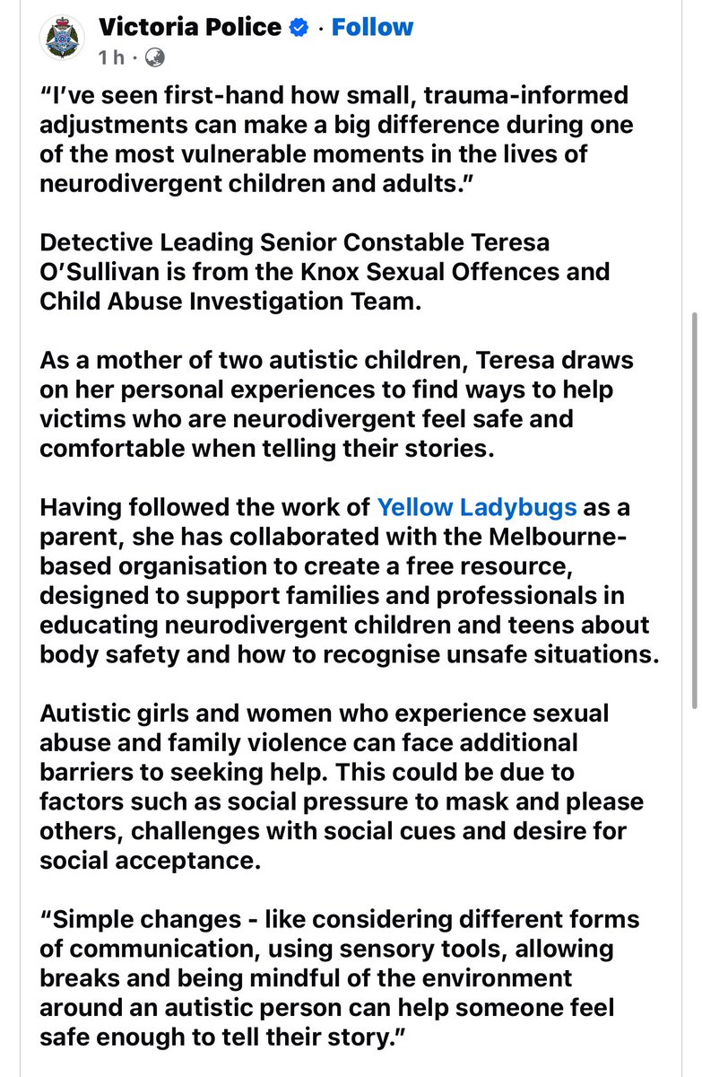 Yellow Ladybugs tweet media