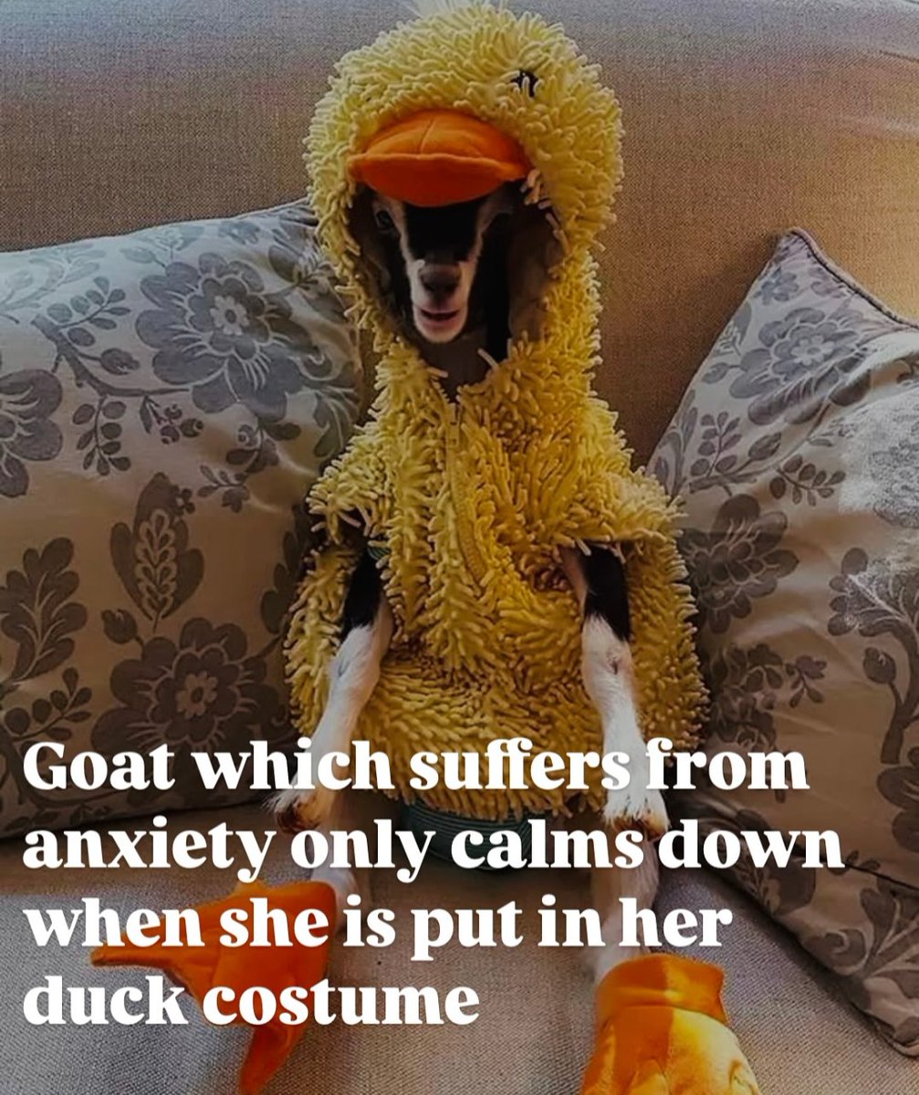 Just when you think you've seen and heard everything...