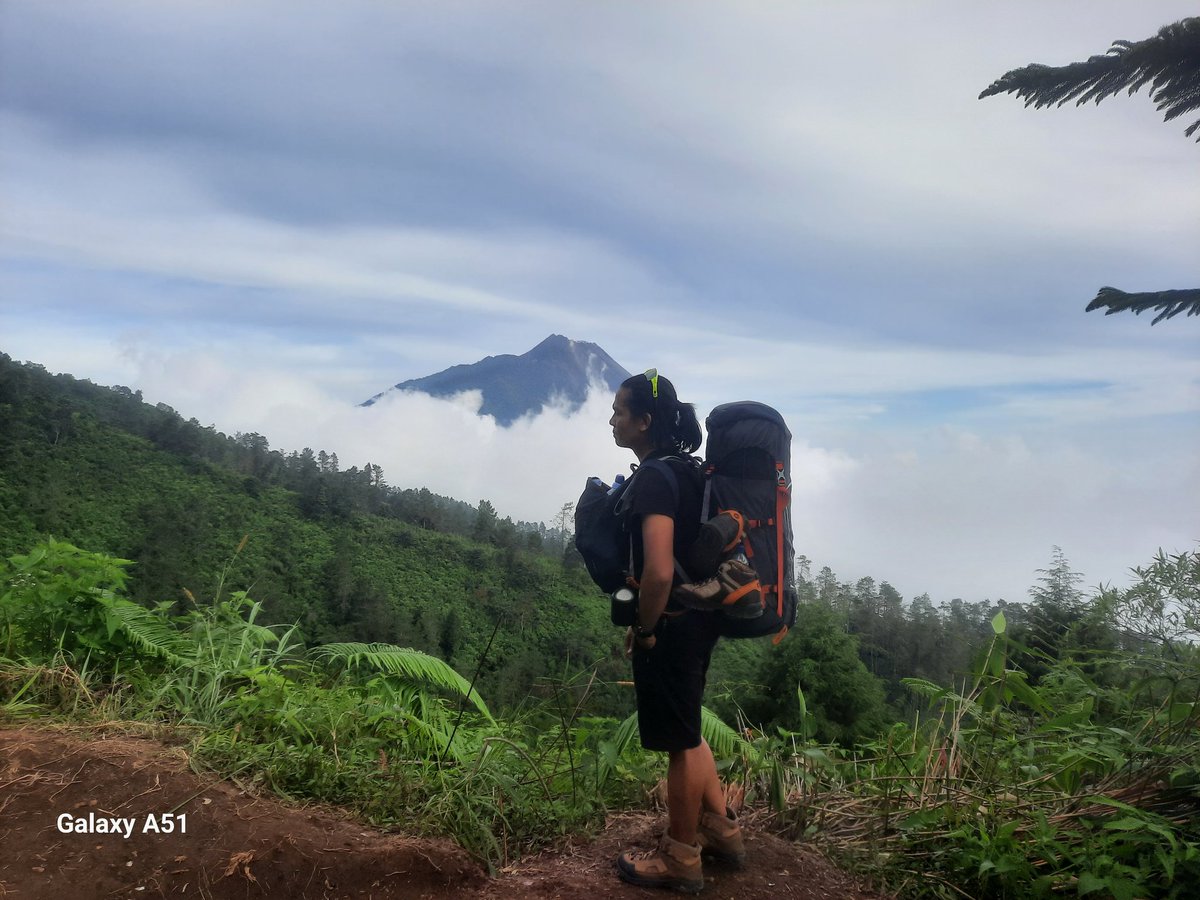 HENZ2001 tweet media