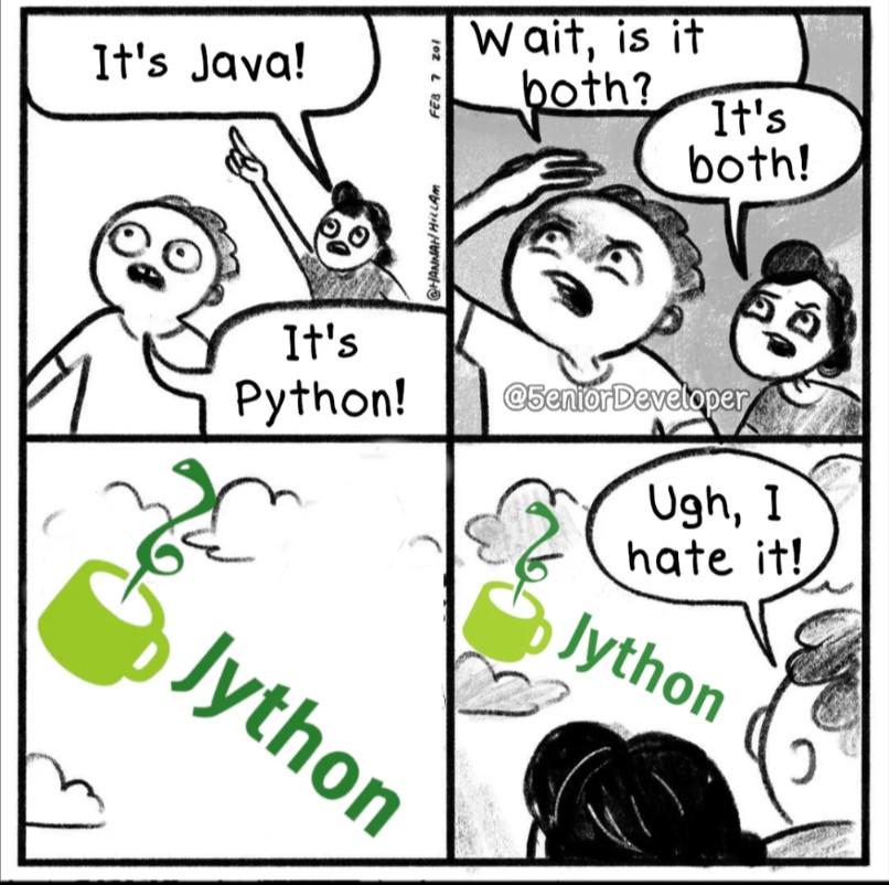 carllabuschagne's tweet image. #Jython #TheFuture