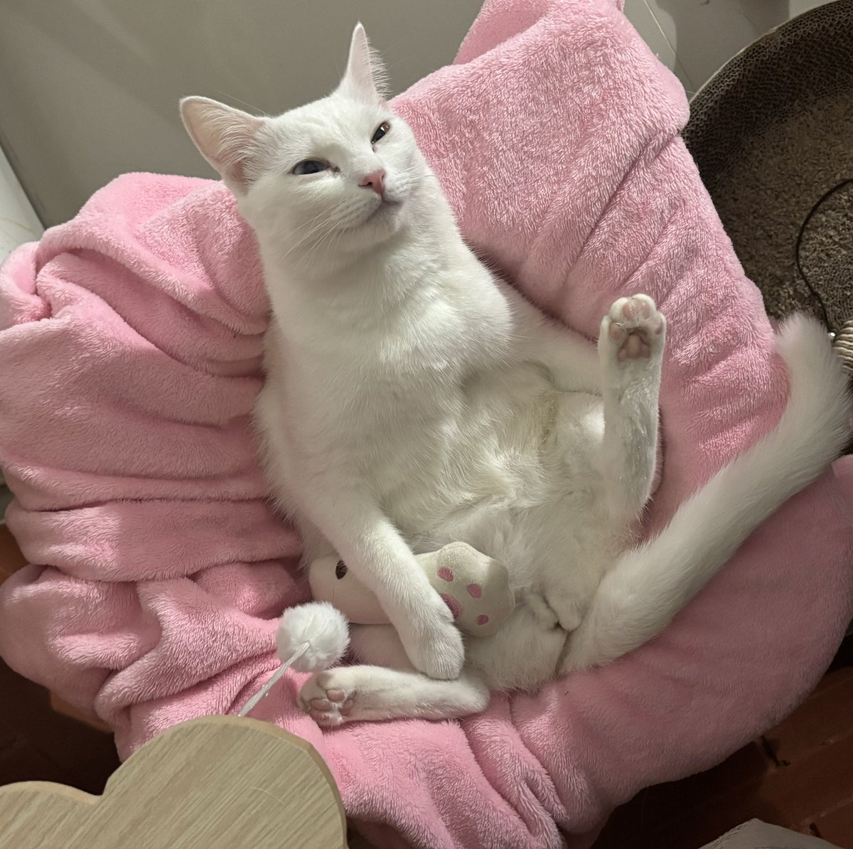 ลูกเราดูติ้กต้อกมากไปหรือเปล่าคะ