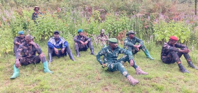 Kivu News 24 (@kivunews24) on Twitter photo Urgent 🚨
#DRC: Yesterday, coalitions composed of the FARDC, Wazalendo, FDLR, and the Burundian army (FDNB) attacked Banyamulenge villages in Rugezi. And now they're planning more attacks. How are these ceasefire agreements working for the Banyamulenge population? <a href="/PatrickMuyaya/">Patrick Muyaya</a> Urgent 🚨
#DRC: Yesterday, coalitions composed of the FARDC, Wazalendo, FDLR, and the Burundian army (FDNB) attacked Banyamulenge villages in Rugezi. And now they're planning more attacks. How are these ceasefire agreements working for the Banyamulenge population? <a href="/PatrickMuyaya/">Patrick Muyaya</a>