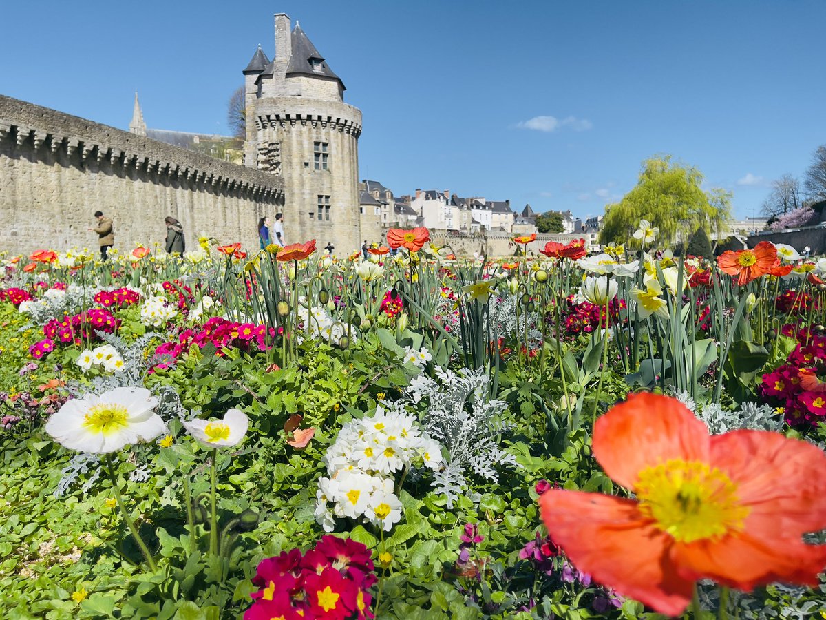 📍Vannes, Morbihan 

#Bretagne 

📸 : Wendy⚓️Bretagne✨ ©