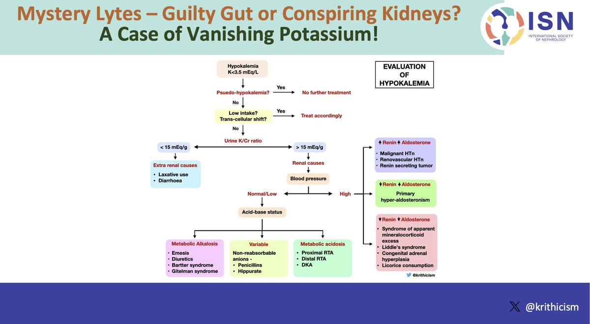 ISN Education (@isneducation) on Twitter photo 24/n #ECNeph <a href="/myadla/">manjusha yadla</a> <a href="/ISNkidneycare/">Int Society of Nephrology</a> <a href="/dakidneydoc/">Srikanth Bathini</a> <a href="/krithicism/">Krithika Mohan</a>
Further understanding of causes of hypokalemia 24/n #ECNeph <a href="/myadla/">manjusha yadla</a> <a href="/ISNkidneycare/">Int Society of Nephrology</a> <a href="/dakidneydoc/">Srikanth Bathini</a> <a href="/krithicism/">Krithika Mohan</a>
Further understanding of causes of hypokalemia