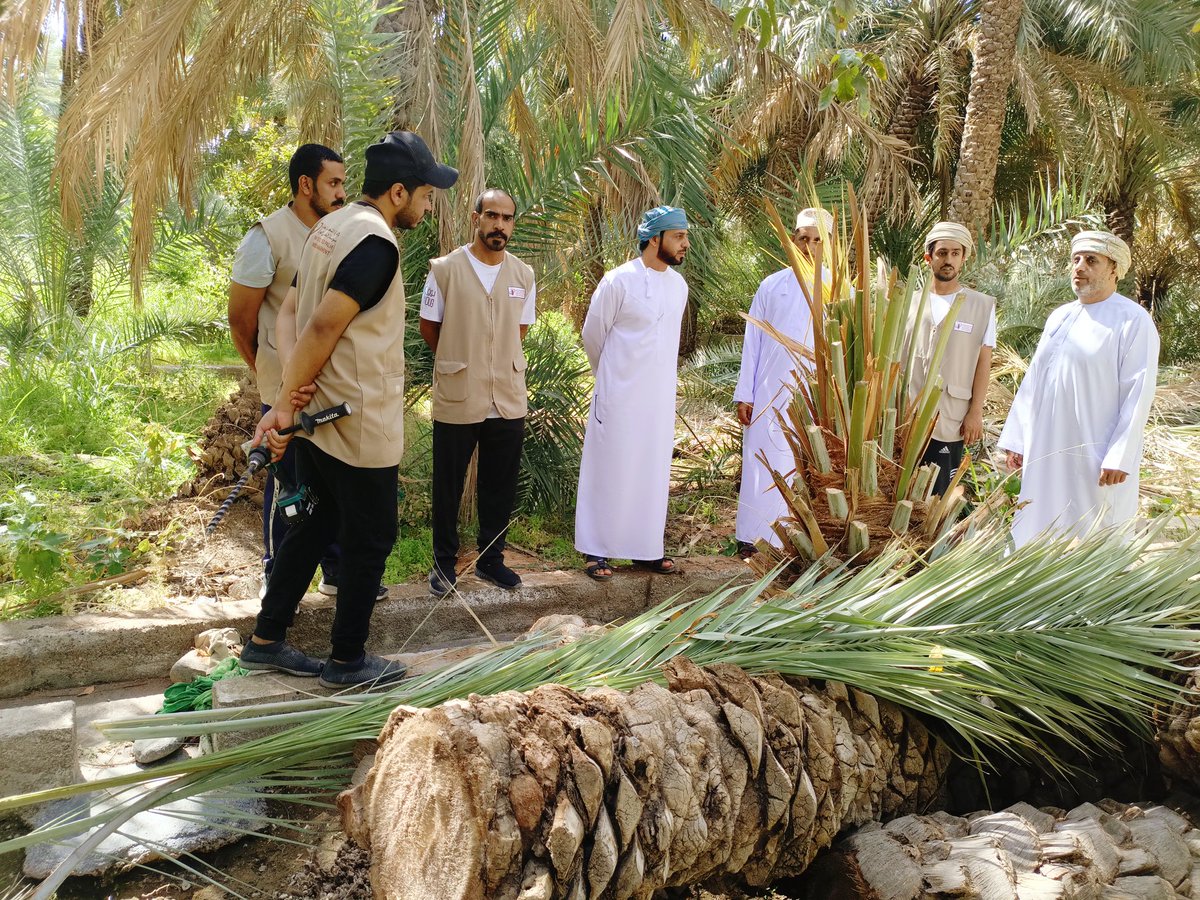 بتنظيم وإشراف دائرة الثروة الزراعية وموارد المياة بولاية عبري أُقيمت خلال هذا الأسبوع  الحملة الموسعة الثانية للربع الأول من العام 2025م 
تحية وتقدير من أهالي #بلدة_النجيد بولاية عبري للقائمين والمشرفين على الحملة ولكل الفرق الفنية العاملة بالميدان <a href="/MAFWR_Dhahira/">م ع للثروة الزراعية وموارد المياه بالظاهرة</a>