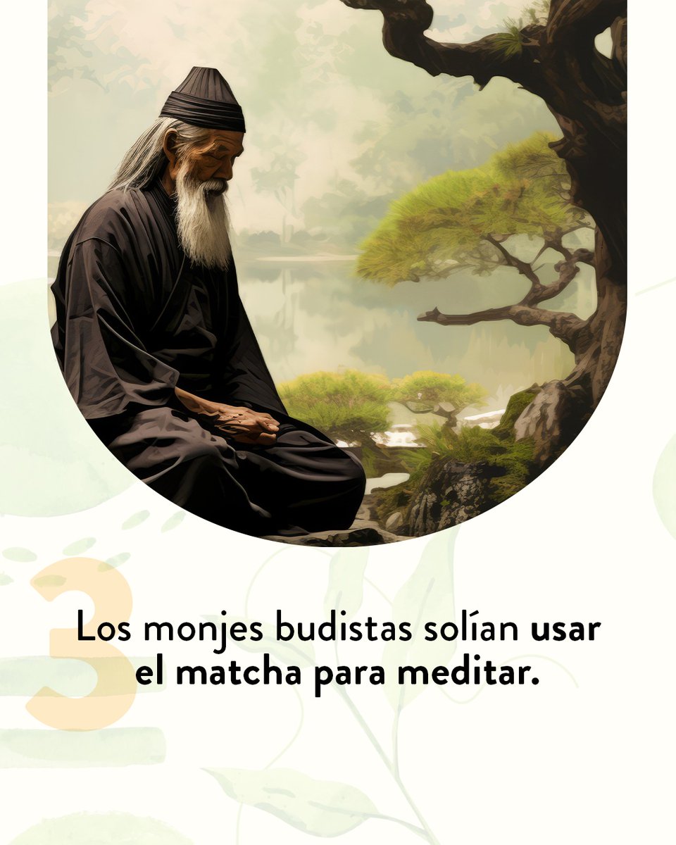 LPQMX's tweet image. ¿Fan del matcha?  Aquí te dejamos 4 datos que no sabías. 🍵 🌱