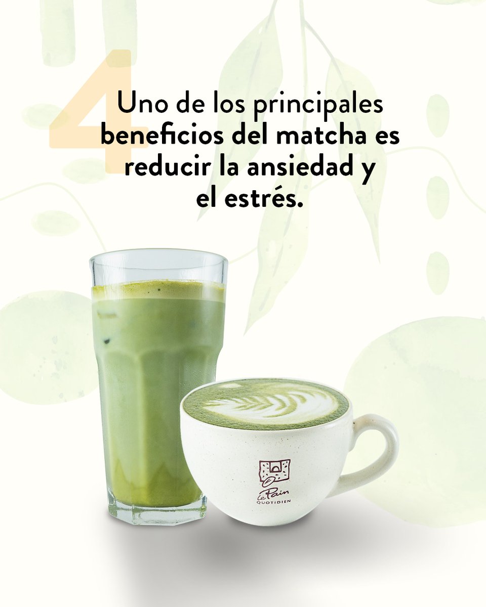 LPQMX's tweet image. ¿Fan del matcha?  Aquí te dejamos 4 datos que no sabías. 🍵 🌱