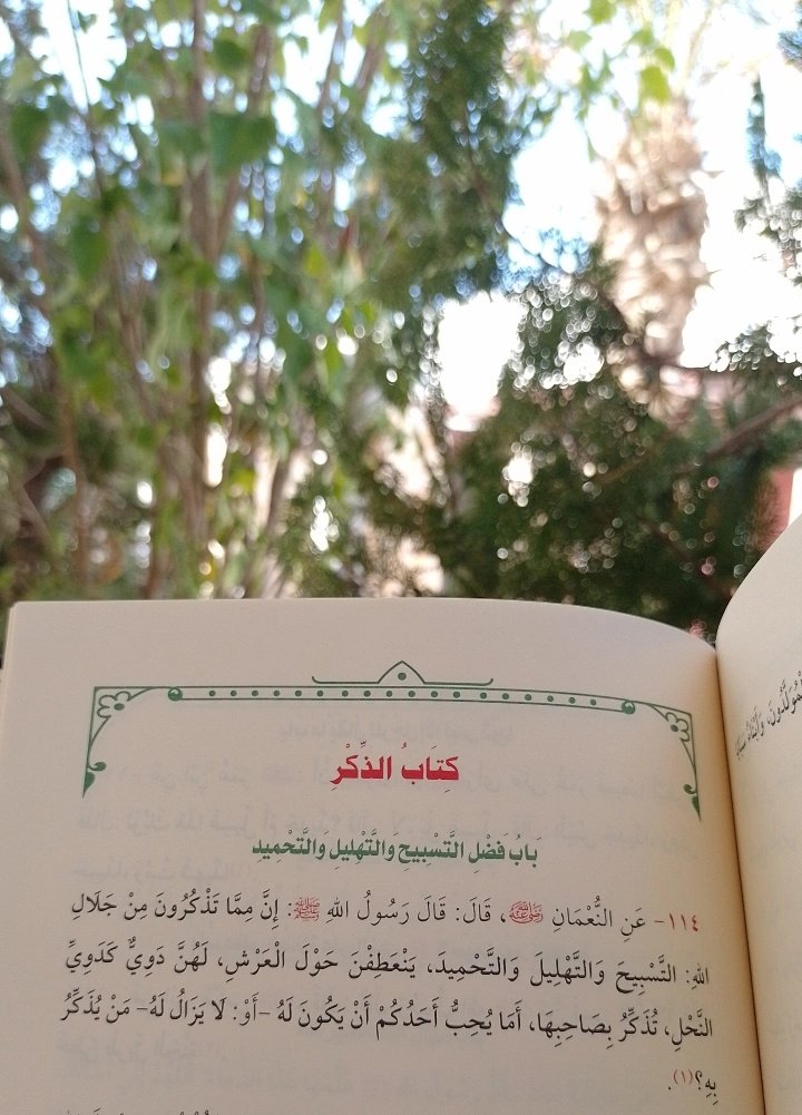 سَـಿ| 🌿 tweet media