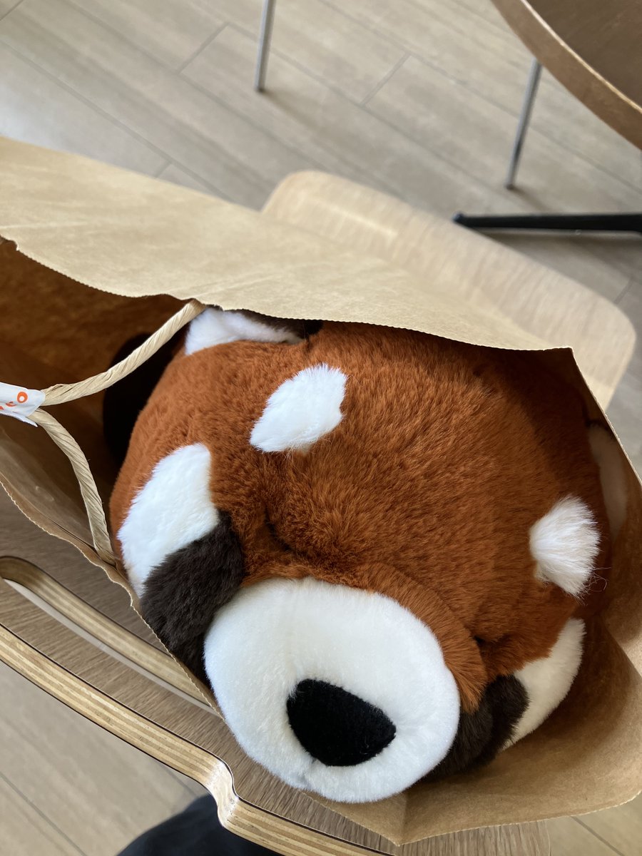 メル君 アヅ＠咲弥ちゃんガチ勢 on X