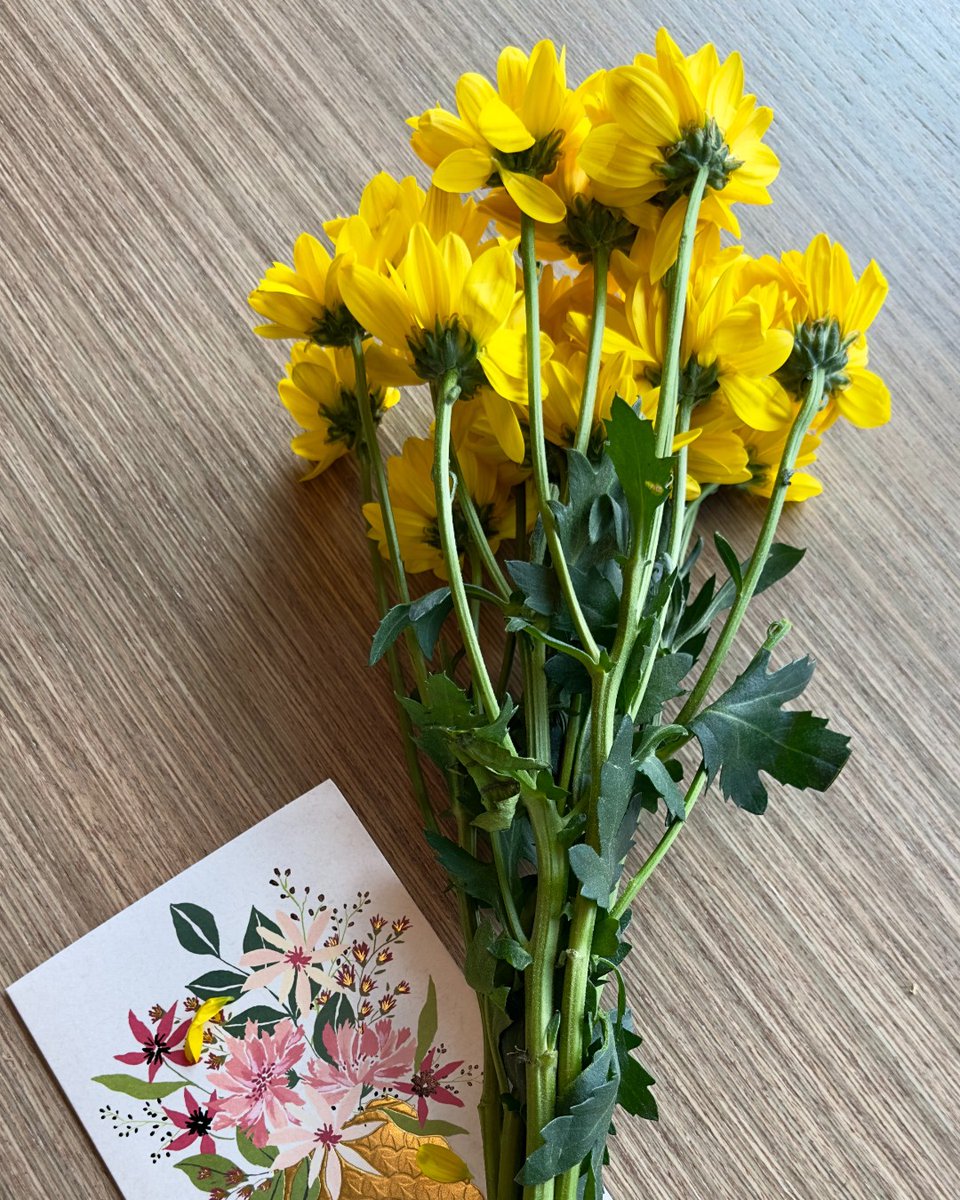 Wendy Hensel tweet media