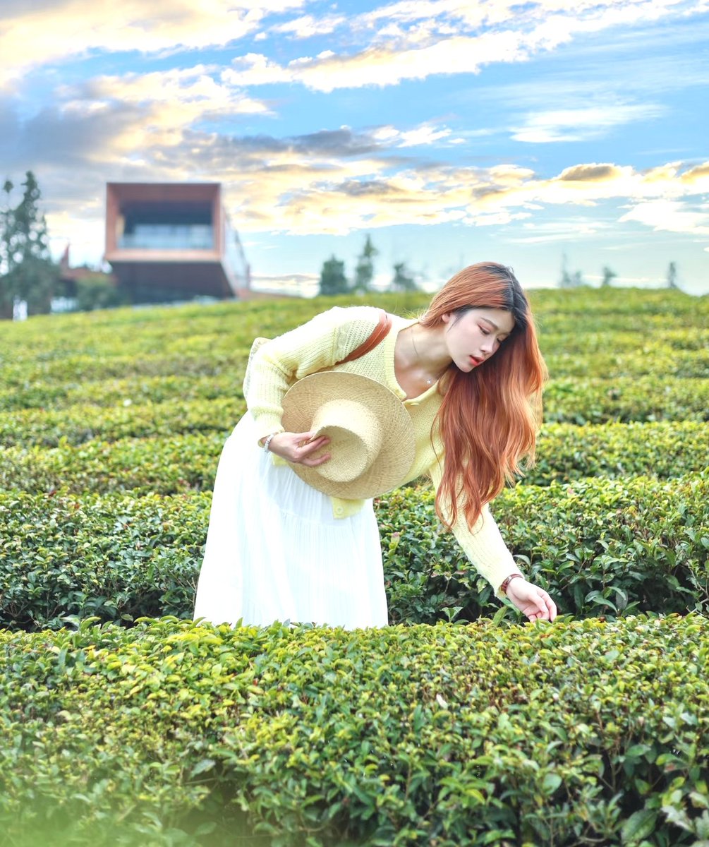 BeautifulJDZ's tweet photo. Come to #Gaoling #Chinese #Village in #Jingdezhen to experience an ocean of colorful #rapeseed #flowers and a #tea #garden covering thousands of acres https://t.co/tGoZlVq4HL