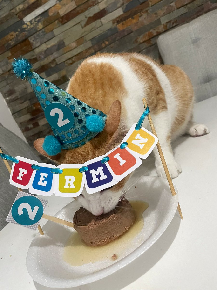 Isa Negrete tweet media