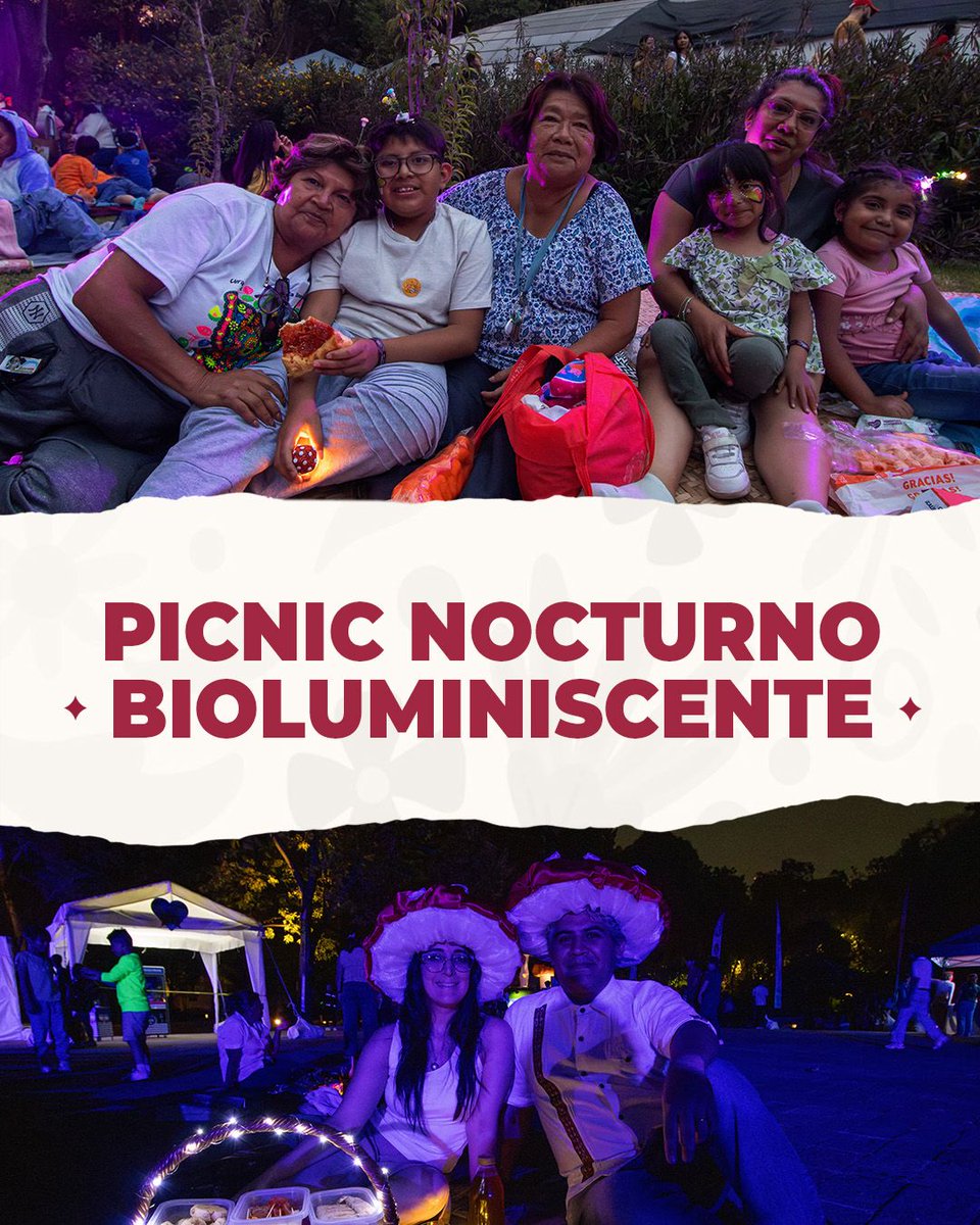 ClaraBrugadaM's tweet image. ¡El #PicnicNocturno que se llevó a cabo durante el @BosqueFest Spora fue un rotundo éxito!
Familias, amigas y amigos se reunieron bajo las estrellas para disfrutar de la naturaleza, la música y el arte en el @BosqueDeChapultepec. 
Así celebramos la vida y el cuidado del planeta:…