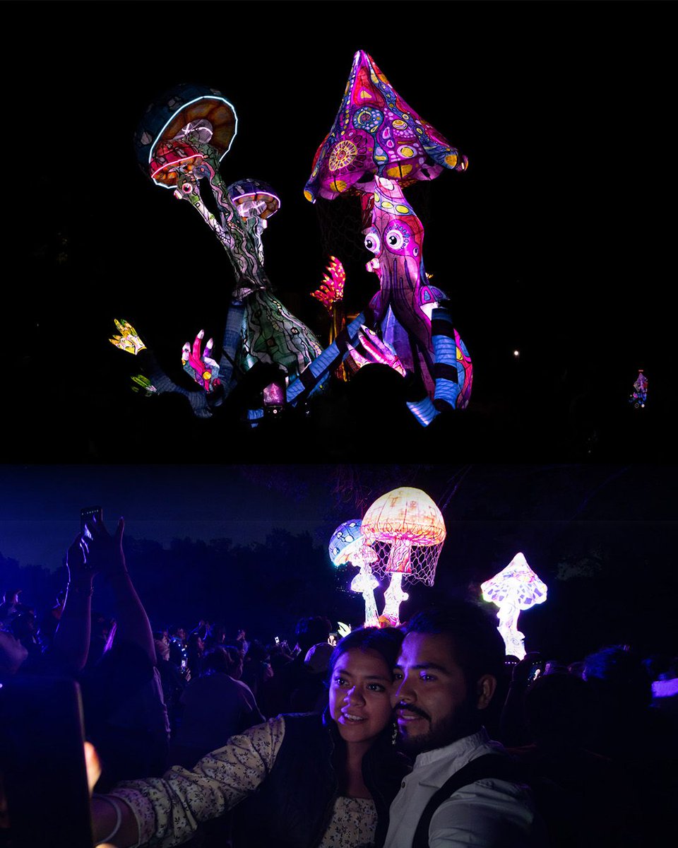 ClaraBrugadaM's tweet image. ¡El #PicnicNocturno que se llevó a cabo durante el @BosqueFest Spora fue un rotundo éxito!
Familias, amigas y amigos se reunieron bajo las estrellas para disfrutar de la naturaleza, la música y el arte en el @BosqueDeChapultepec. 
Así celebramos la vida y el cuidado del planeta:…