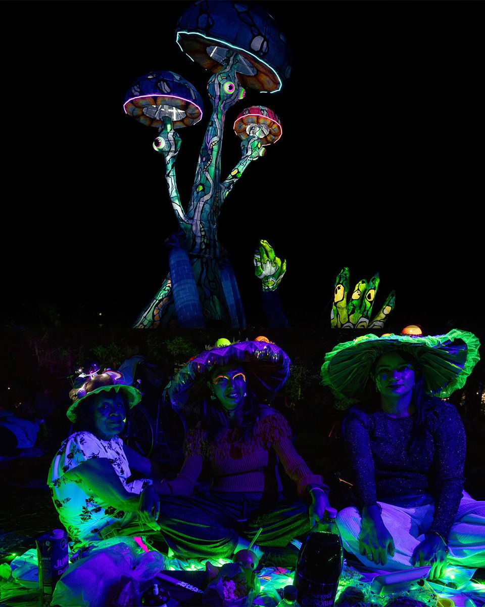 ¡El #PicnicNocturno que se llevó a cabo durante el <a href="/BosqueFest/">Spora: Festival del Bosque de Chapultepec</a> Spora fue un rotundo éxito!
Familias, amigas y amigos se reunieron bajo las estrellas para disfrutar de la naturaleza, la música y el arte en el @BosqueDeChapultepec. 
Así celebramos la vida y el cuidado del planeta: