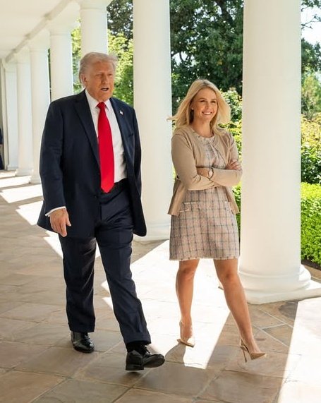 If you're TRUMPER not a bot, please say hi! 👋🏻
I'm following you.