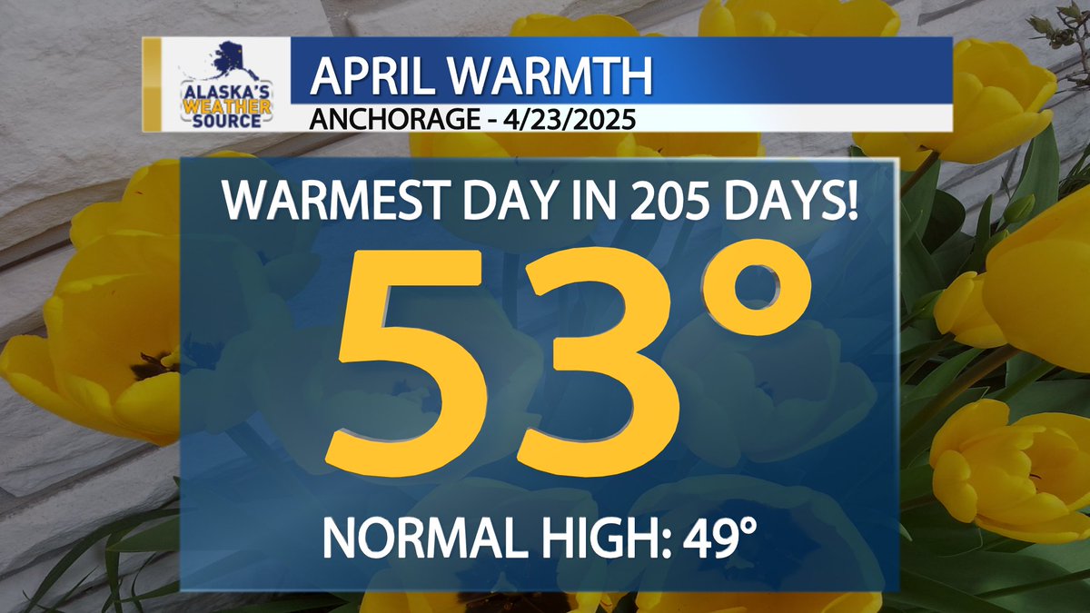 Things are heating up in Alaska! Anchorage hit 53° today. That may not sound that warm, but it's the warmest we've been since last September, 205 days ago! 
Normal temperatures are in the upper 40s, and we'll stay in the upper 40s and low 50s for the rest of April.
#akwx
