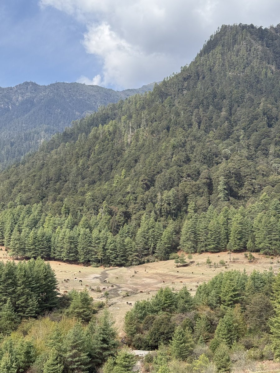 Just finished hosting our Bhutan Trip with a great group.

#Bhutan