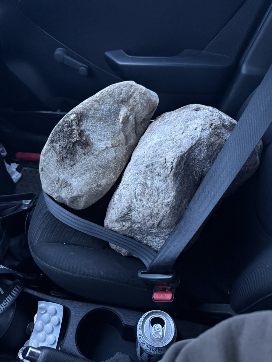 Colin 🇨🇦♻️🇺🇸 (@databased890) on Twitter photo A farmer gave me some big damn rocks today. They will look fine in my front yard as big damn rocks. A farmer gave me some big damn rocks today. They will look fine in my front yard as big damn rocks.