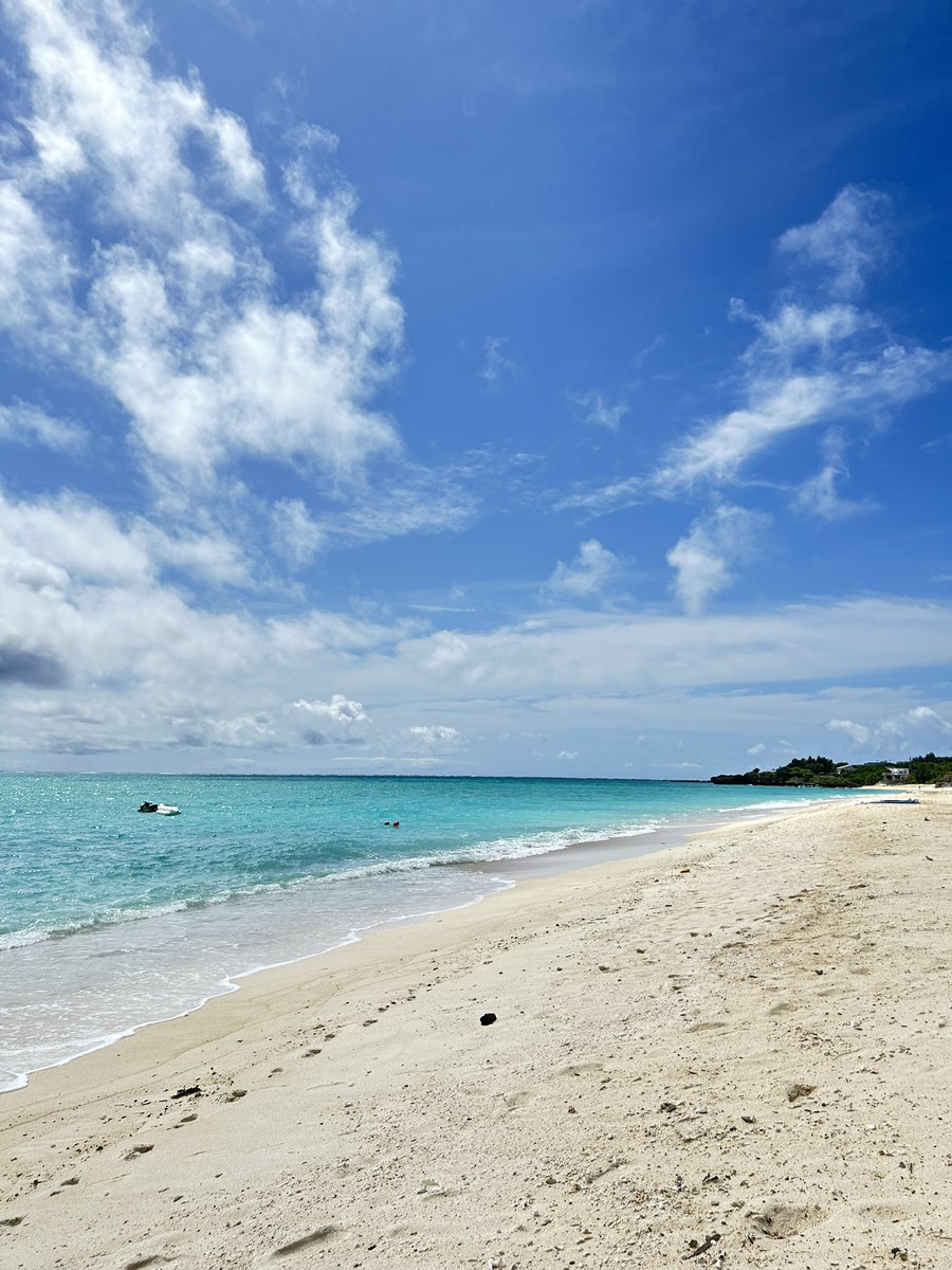 ai_kp_0523's tweet image. また来年も！
#与論島