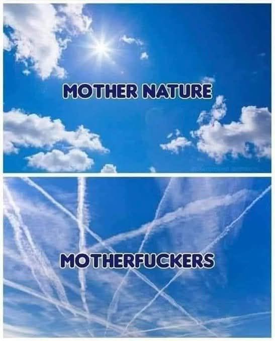 David Wolfe (@davidwolfe) on Twitter photo 