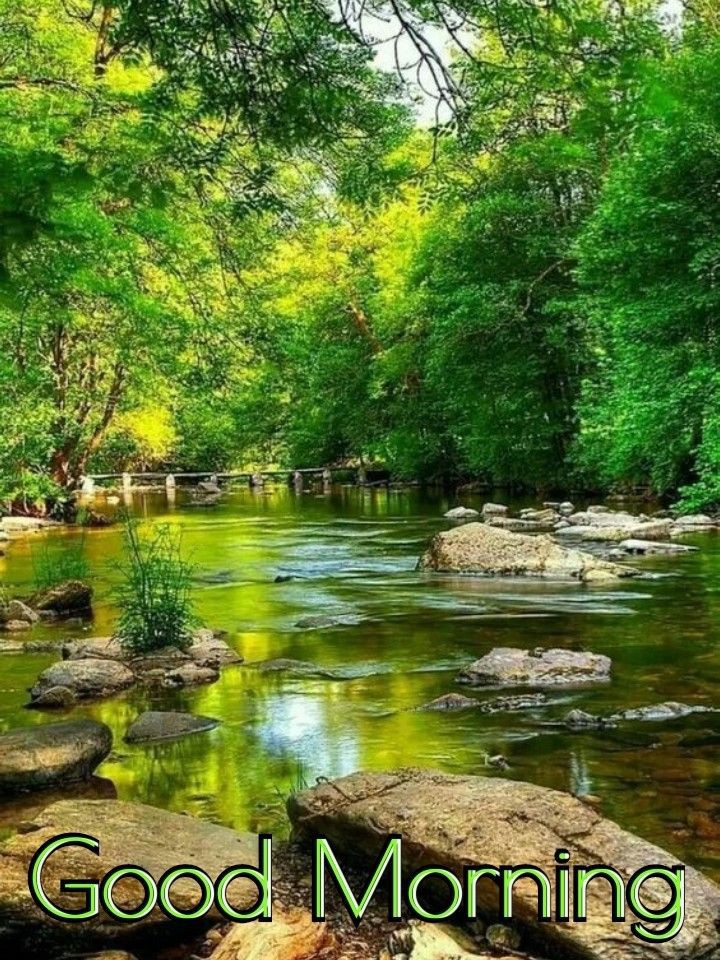 Good morning🍀🌻