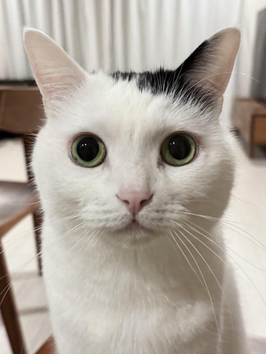 William 🧊❄️ tweet media