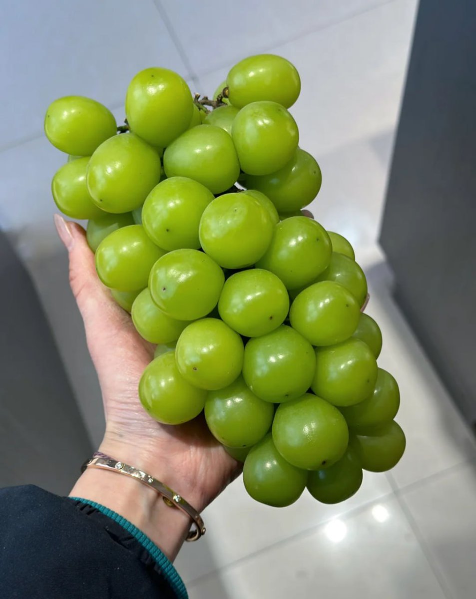 imbpanisa's tweet photo. #fruit

Have you eaten fruit today?

There should be no one who doesn't like to eat Sunshine Rose https://t.co/Gr2hTOtCT9